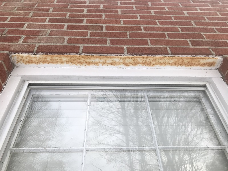 Rusted lintel in need for replacement
